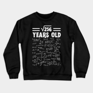 Square Root Of 256 16th Birthday, 16 Year Old Math Lover Gift Crewneck Sweatshirt